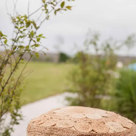 Ons Plekje 6 Personen - Zeezand Recreatie Casa de Férias *