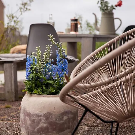 Ons Plekje 6 Personen - Zeezand Recreatie בית נופש *