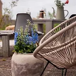 Ons Plekje 6 Personen - Zeezand Recreatie Holiday home *