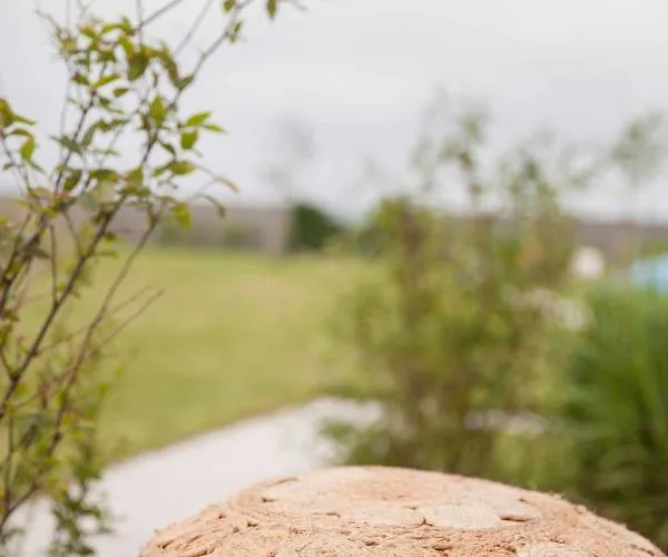 Ons Plekje 6 Personen - Zeezand Recreatie 펜션 *